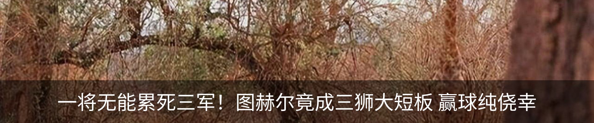 最新动态