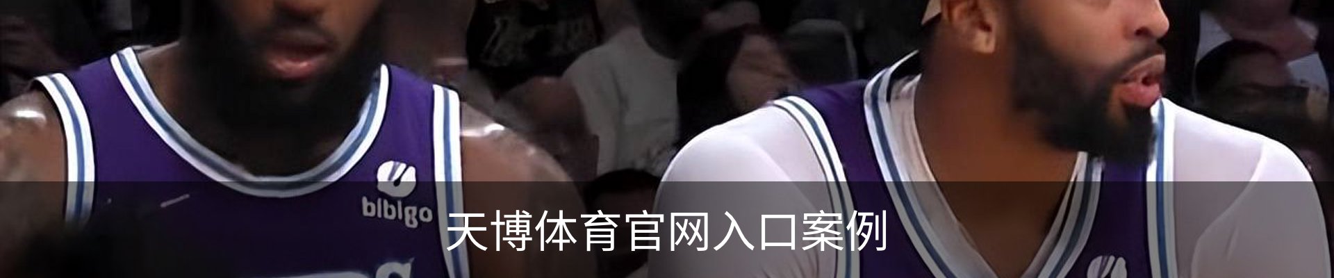 天博体育官网入口案例