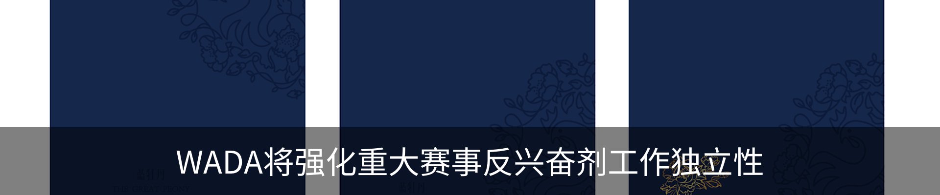 最新动态